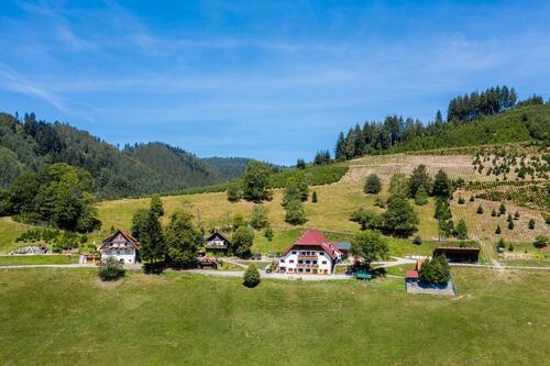 Foto - andere zur Miete in Oppenau