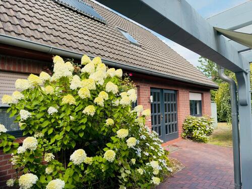 Foto - 7 Zimmer Einfamilienhaus zum Kaufen in Ehra-Lessien