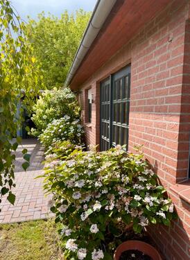 Foto - 7 Zimmer Einfamilienhaus in Ehra-Lessien