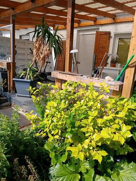 Foto - 1 Zimmer Etagenwohnung zur Miete in Bochum