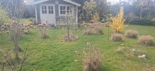 Foto - 6 Zimmer Einfamilienhaus zum Kaufen in Rhede