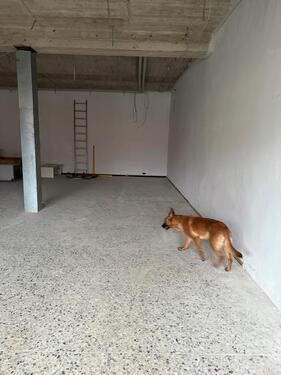 Foto - andere in Bad Wünnenberg