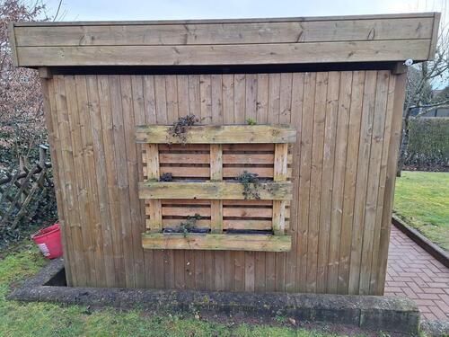 Foto - andere in Walsdorf