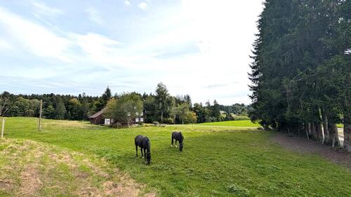 Foto - 5 Zimmer Einfamilienhaus in Scheidegg
