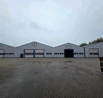 stahlhallen , von HALTEC aus BRD ab 750qm mit original statik - Handorf