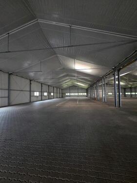 Foto - andere in Handorf zur Miete