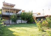Foto - Villa + Gästehaus direkt am Olivenhain auf Kreta