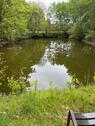 Foto - Teich Wasserfläche Erholungsfläche