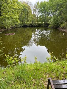 Foto - Teich Wasserfläche Erholungsfläche