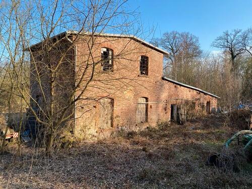 Foto - Einfamilienhaus zum Kaufen in Erxleben