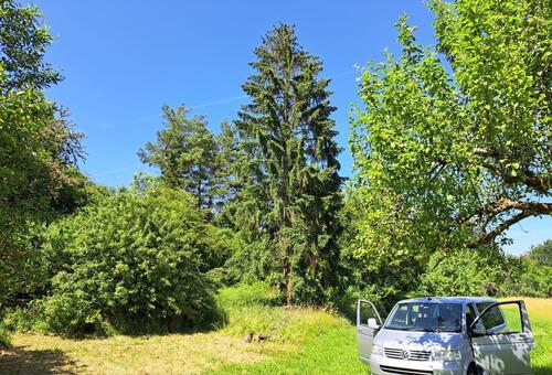 Foto - Grundstück zur Miete in Haiterbach