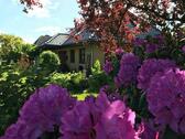Foto - 5 Zimmer Einfamilienhaus in Heide