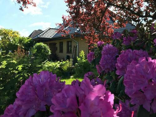 Foto - 5 Zimmer Einfamilienhaus in Heide
