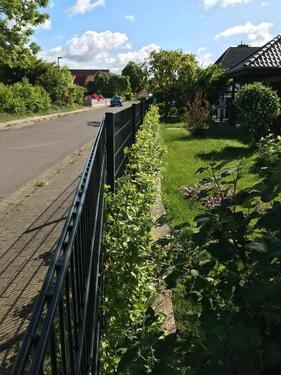 Foto - Einfamilienhaus in Heide zur Miete