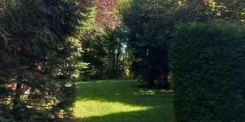 Foto - 3 Zimmer Etagenwohnung zur Miete in Bad Wildungen