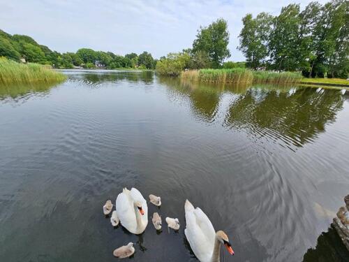 Foto - 3 Zimmer Etagenwohnung in Geestland
