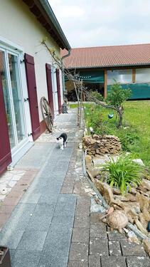 Foto - Haus Tierhaltung Außenbereich Pferde 1877 qm bis 4877 qm