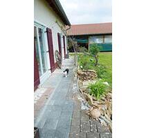 Haus Tierhaltung Außenbereich Pferde 1877 qm bis 4877 qm - Höttingen