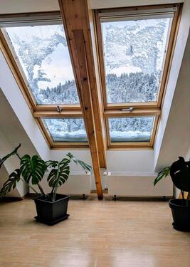 Foto - Gemütliche Ferienwohnung am Wald in Triberg