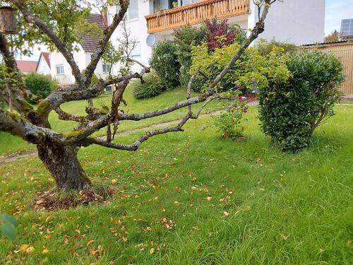 Foto - Mietwohnung Wohnung Miete Haus Mieten Garage Garten Terasse Kelle