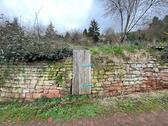 Foto - Verwildertes Gartengrundstück am Pfaffenwald in Büdingen zu verpachten