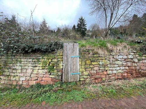 Foto - Verwildertes Gartengrundstück am Pfaffenwald in Büdingen zu verpachten