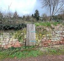 Verwildertes Gartengrundstück am Pfaffenwald in Büdingen zu verpachten