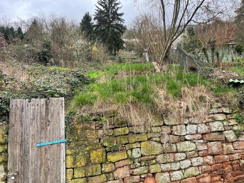 Foto - Grundst&uuml;ck zur Miete in Büdingen