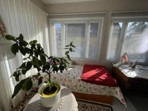 Foto - 4 Zimmer Hochparterre in Mühlenbecker Land