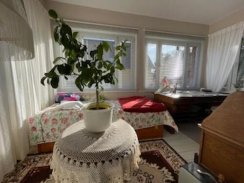 Foto - Hochparterre in Mühlenbecker Land zur Miete