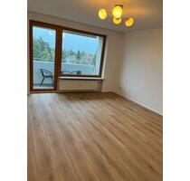 Renovierte 1-Zimmer Wohnung mit Balkon in Fürth zu vermieten