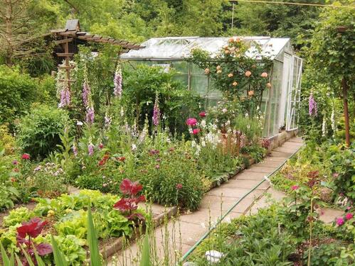 Foto - Grundst&uuml;ck zur Miete in Bad Salzungen
