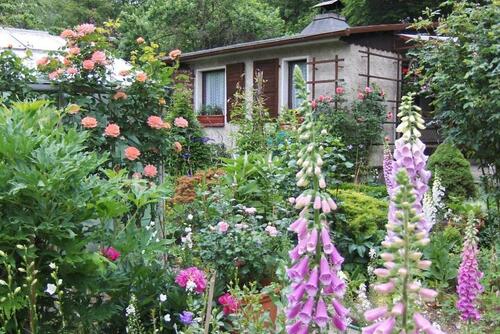 Foto - Grundst&uuml;ck in Bad Salzungen zur Miete