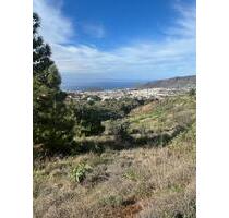 Grundstück Kanareninsel La Palma von Privat - Darmstadt Darmstadt-Nord