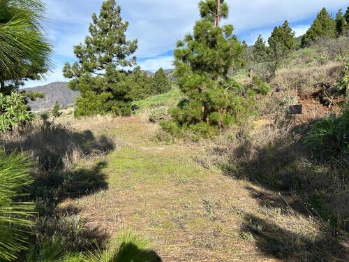 Foto - andere zur Miete in Darmstadt