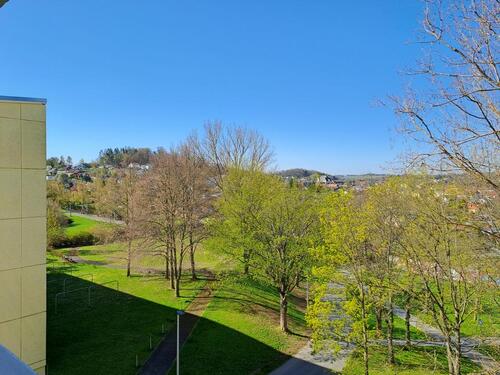 Foto - Etagenwohnung in Plauen zur Miete