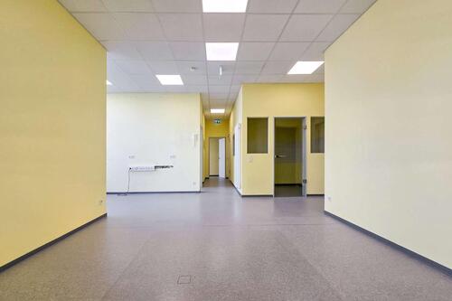 Foto - andere in Trier