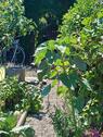 Foto - Einfamilienhaus in Dranske zum Kaufen
