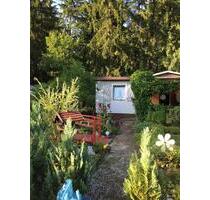 Pachtgarten - 4.500,00&nbsp;EUR Kaltmiete, ca.&nbsp; 0,00&nbsp;m&sup2; in Zella-Mehlis (PLZ: 98544)