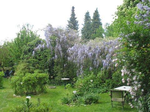 Foto - 