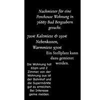 Penthouse Wohnung in Bad Bergzabern