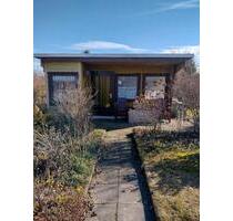 Pachtgarten in KGA Einheit Zeulenroda abzugeben - Zeulenroda-Triebes