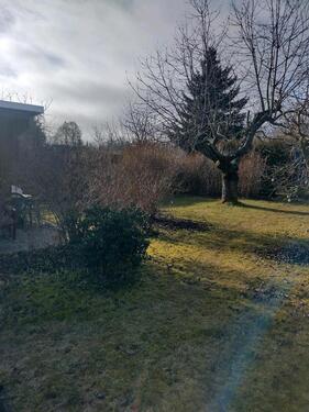 Foto - Grundst&uuml;ck in Zeulenroda-Triebes zur Miete