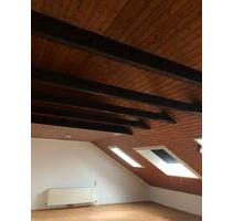 Karlstein 3 Zimmer DG mit Weitblick – zentral & ruhig gelegen - Karlstein am Main
