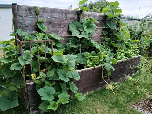 Foto - Grundst&uuml;ck in Rostock