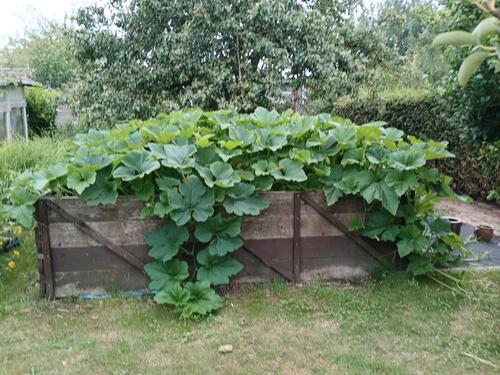 Foto - Grundst&uuml;ck in Rostock zur Miete