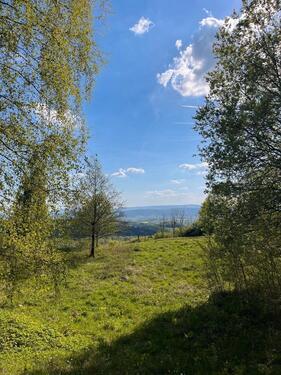 Foto - Grundst&uuml;ck in Brotterode-Trusetal