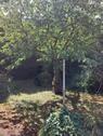 Foto - 5 Zimmer Einfamilienhaus in Schorndorf