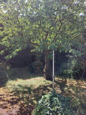 Foto - 5 Zimmer Einfamilienhaus in Schorndorf