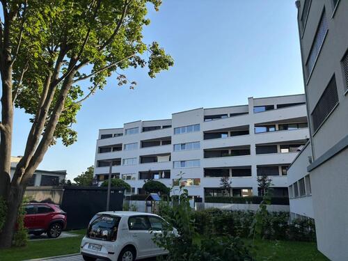 Foto - Etagenwohnung in Dresden zur Miete